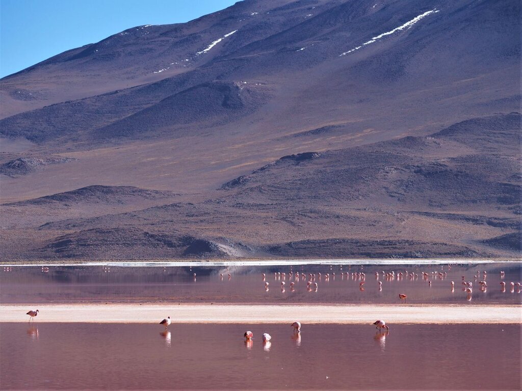 552