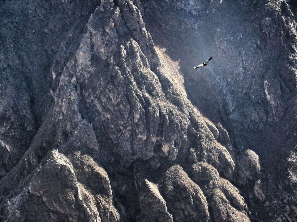 52