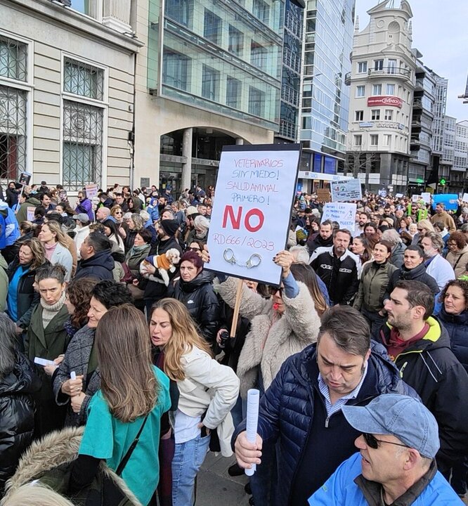 20250223 Manifestación veterinaria na Coruña derogar decreto 666 medicamentos veterinarios (3)