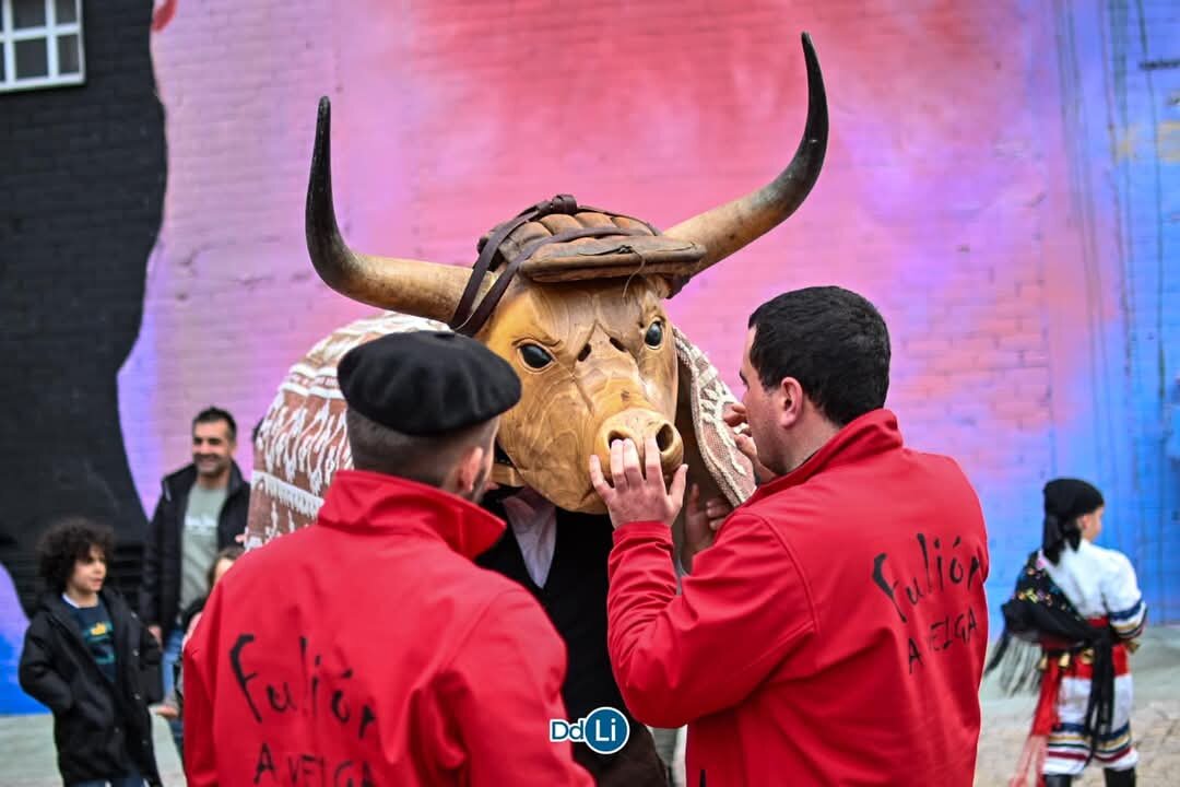 Entroido A Veiga, boi e fulión