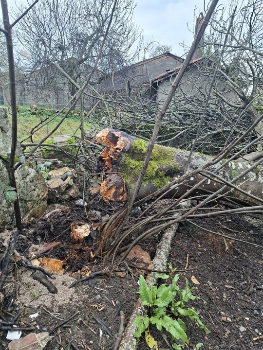 20250320 Consecuencias borrasca Martinho en Vilardevós, Santa María