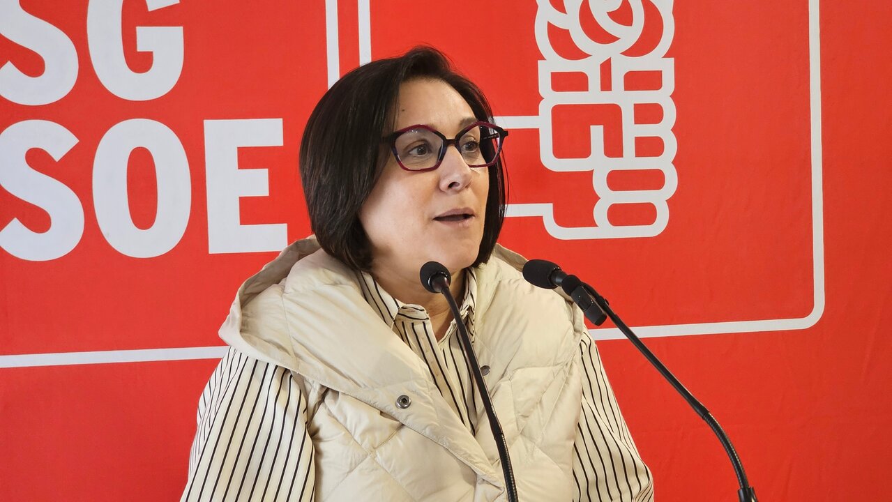profesora titular de Ciencia Política de la Universidad de Santiago de Compostela.