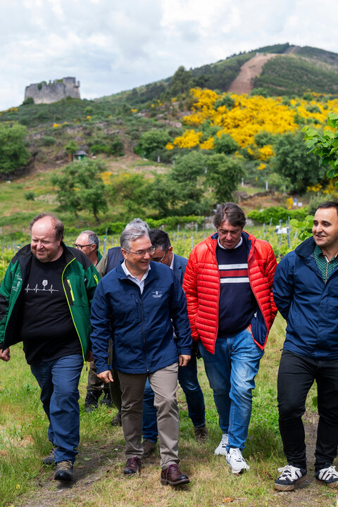 Servando Álvarez Pousa (técnico del Inorde), Luis Menor, Antonio Fernández Veiga (Inorde) y Manuel Vázquez, presidente de la D.O. Monterrei.