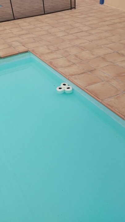 Papel higiénico arrojado en la piscina infantil