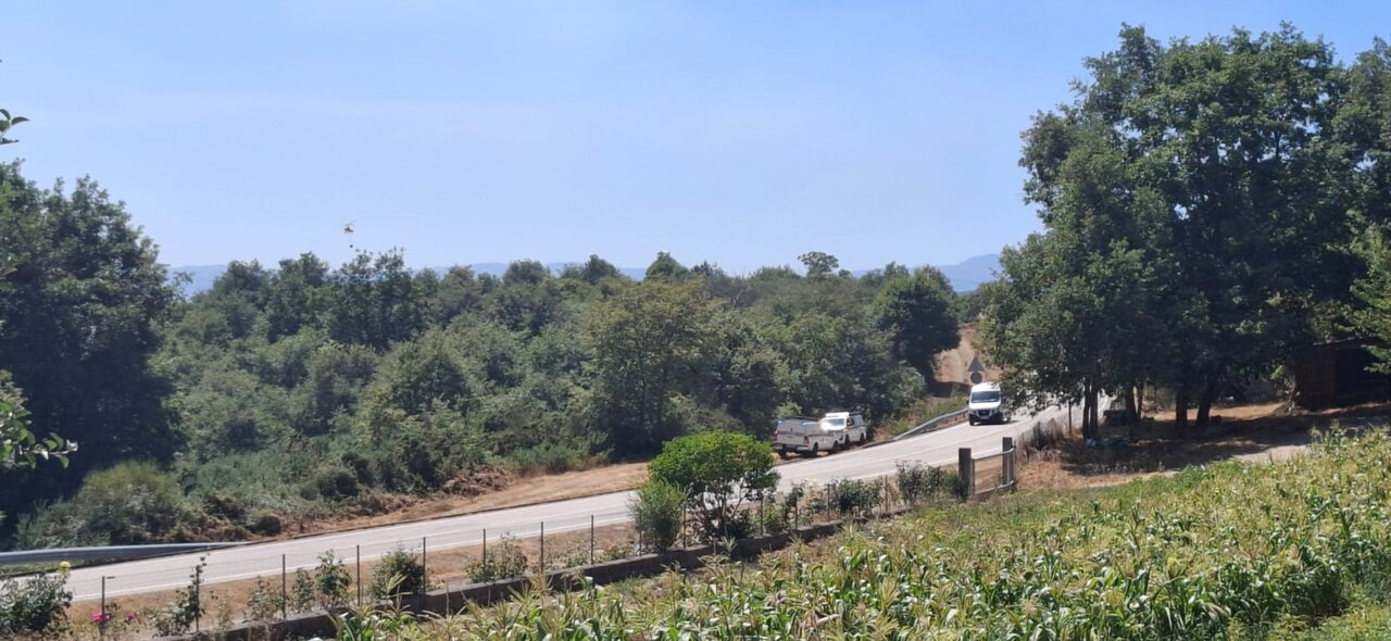Zona del incendio ya a punto de ser controlada en Vilardevós FOTO | María Dosantos.