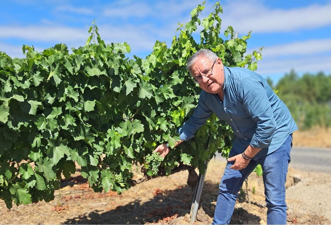 José Manuel Gómez "Cazolas" será cofrade de la D.O. Monterrei desde este viernes.