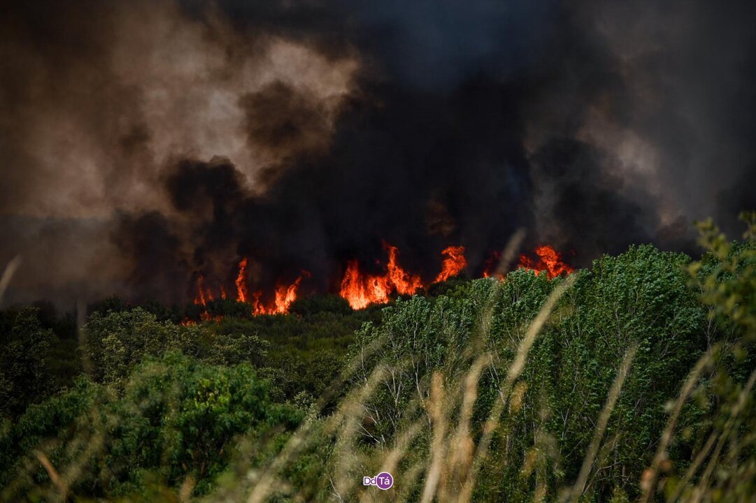 Incendio activo en el Concello de Oímbra. FOTO | Noelia Caseiro.