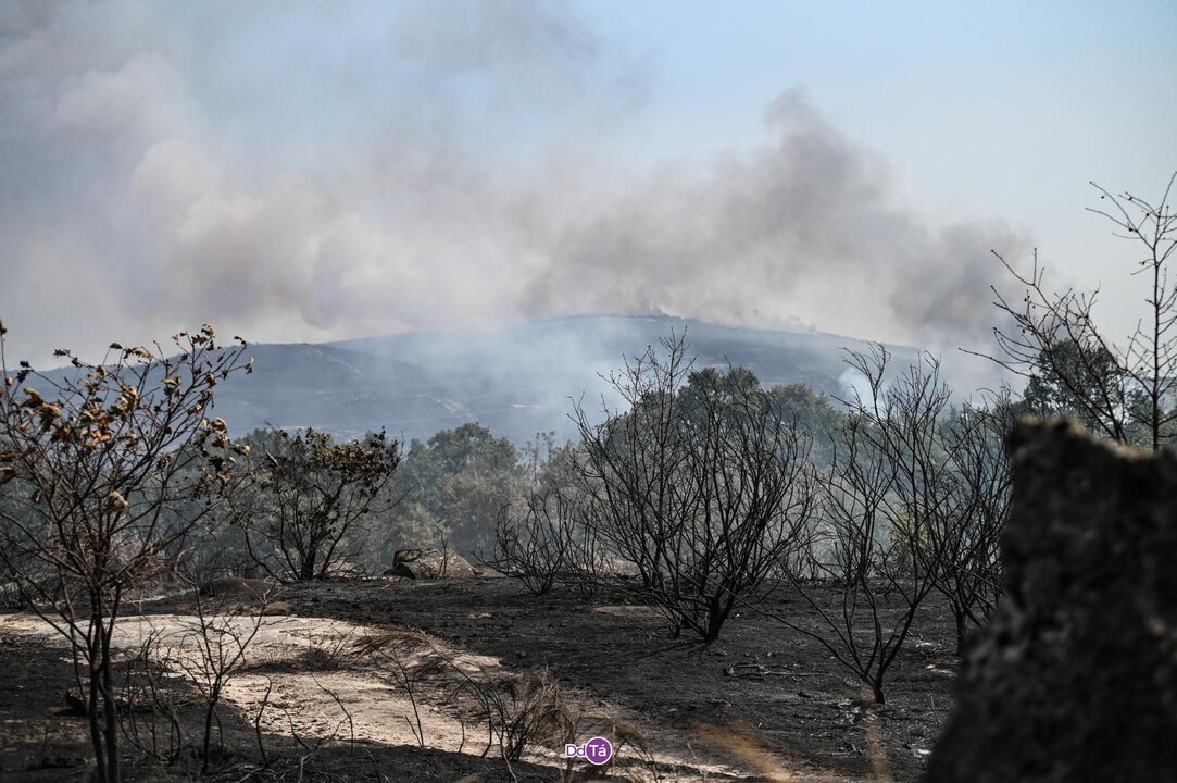 20250814 IFAEsculqueiraAMezquita, Incendio A Gudiña, O Canizo, tierra quemada (4)