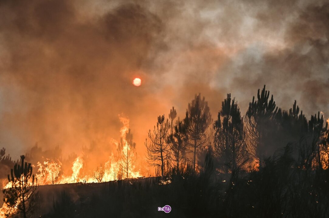20250814 IFFumacesATrepaVilardevós, Incendio Vilardevós, Feilas