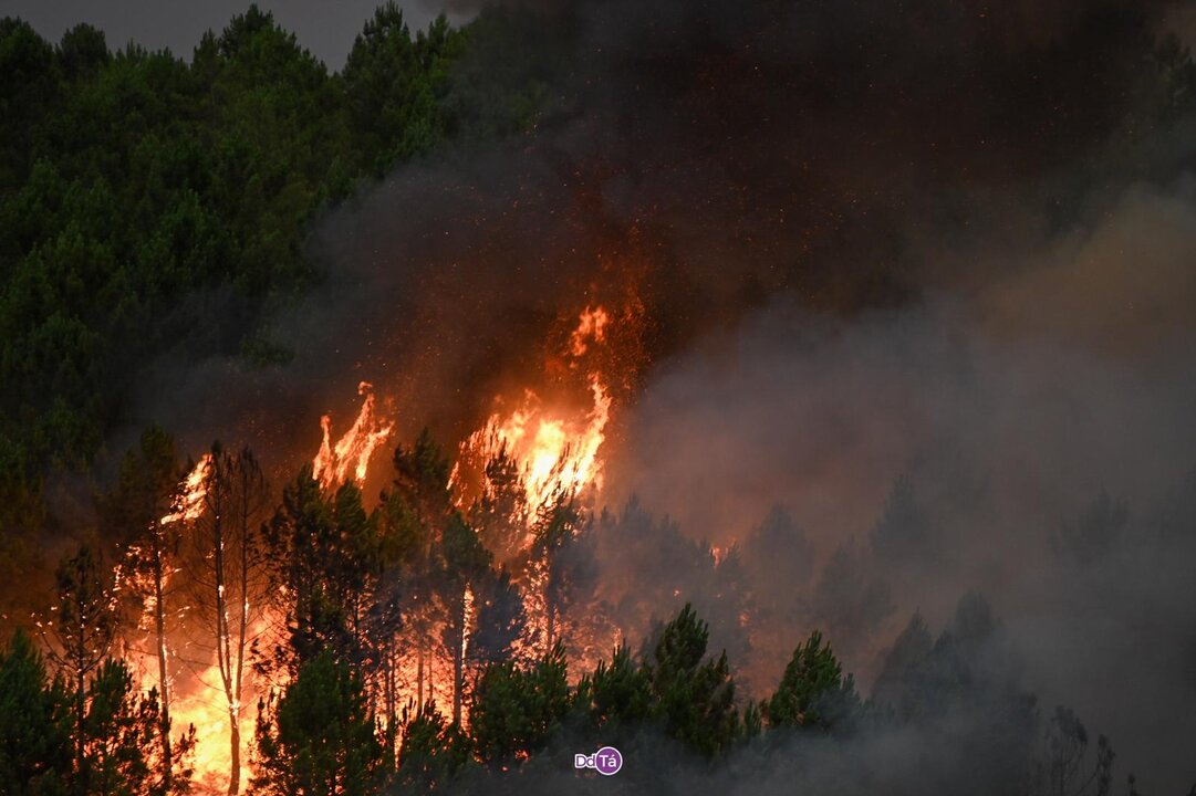 20250816 IFAGranxaOímbra, Incendio Laza, Souteliño (3)