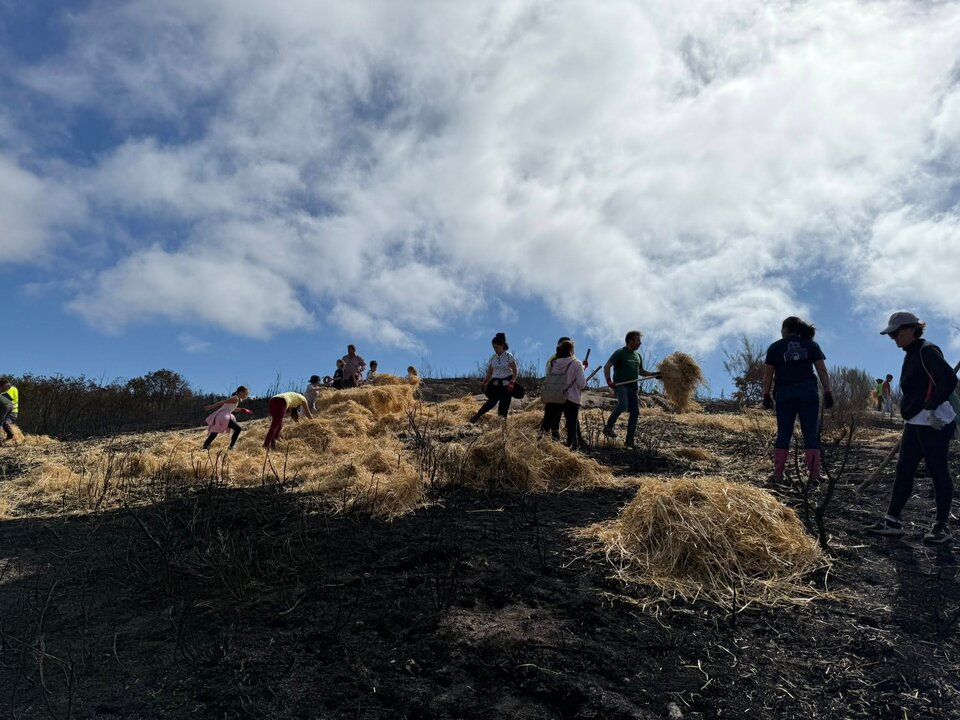 Xornada prevención e recuperación dos incendios forestais Cualedro