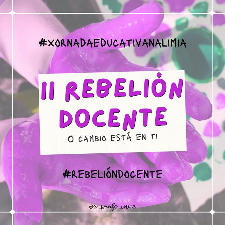 II Rebelión Docente en Xinzo de Limia.