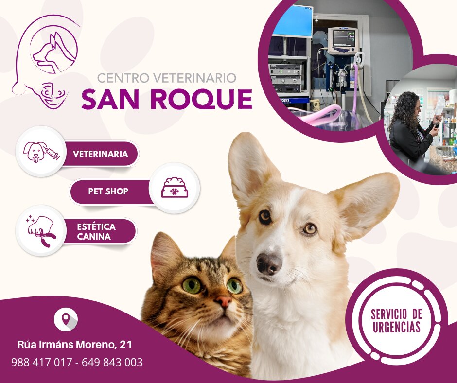 Publicidad 73659