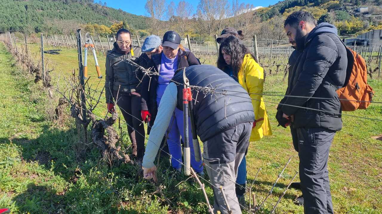 Itinerario de poda y trabajos en Bodega. | FOTO: CDR Portas Abertas.