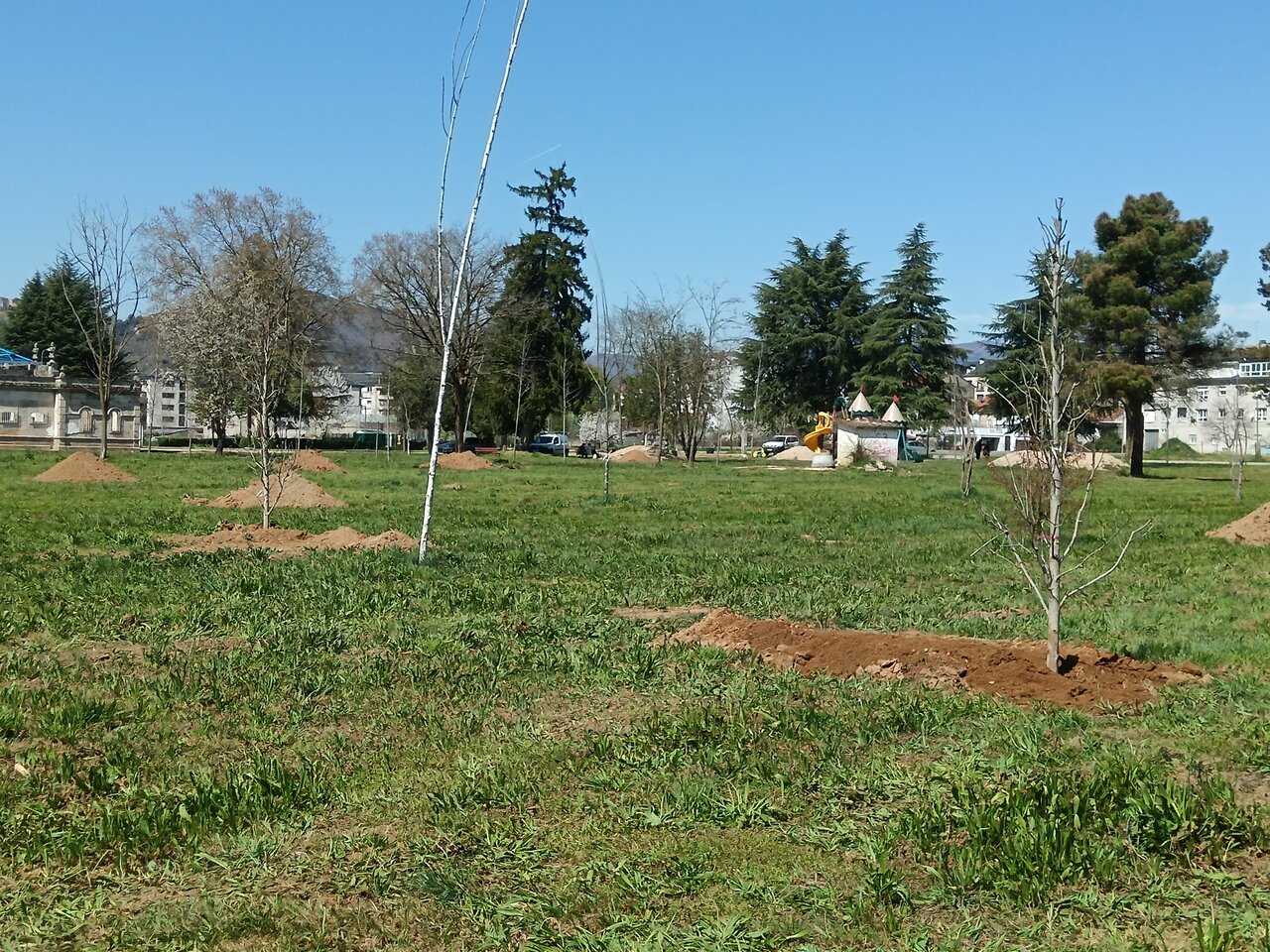 Los trabajos de campo comenzaron este miércoles con la plantación de los primeros ejemplares.