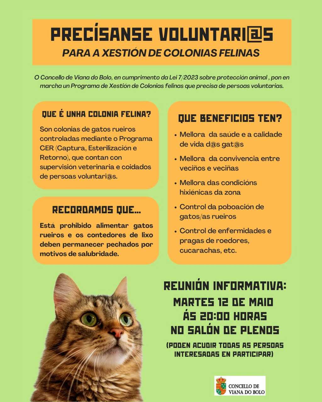 Cartel oficial del Concello de Viana do Bolo para la captación de voluntarios en la gestión de colonias felinas.