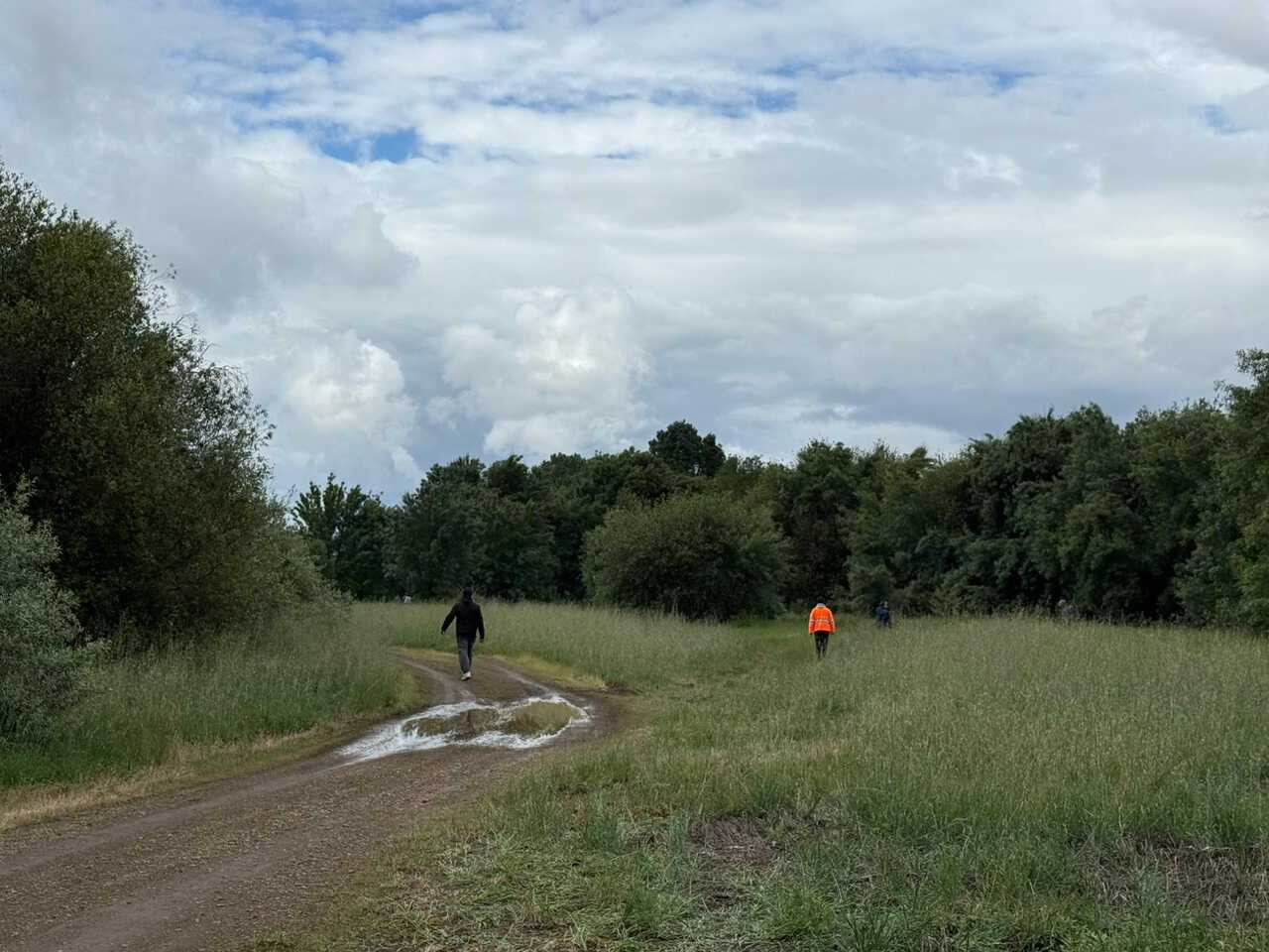Voluntarios y agentes forestales coordinan las rutas de búsqueda en el término de Mourazos. | Foto: Xosé Lois Colmenero.