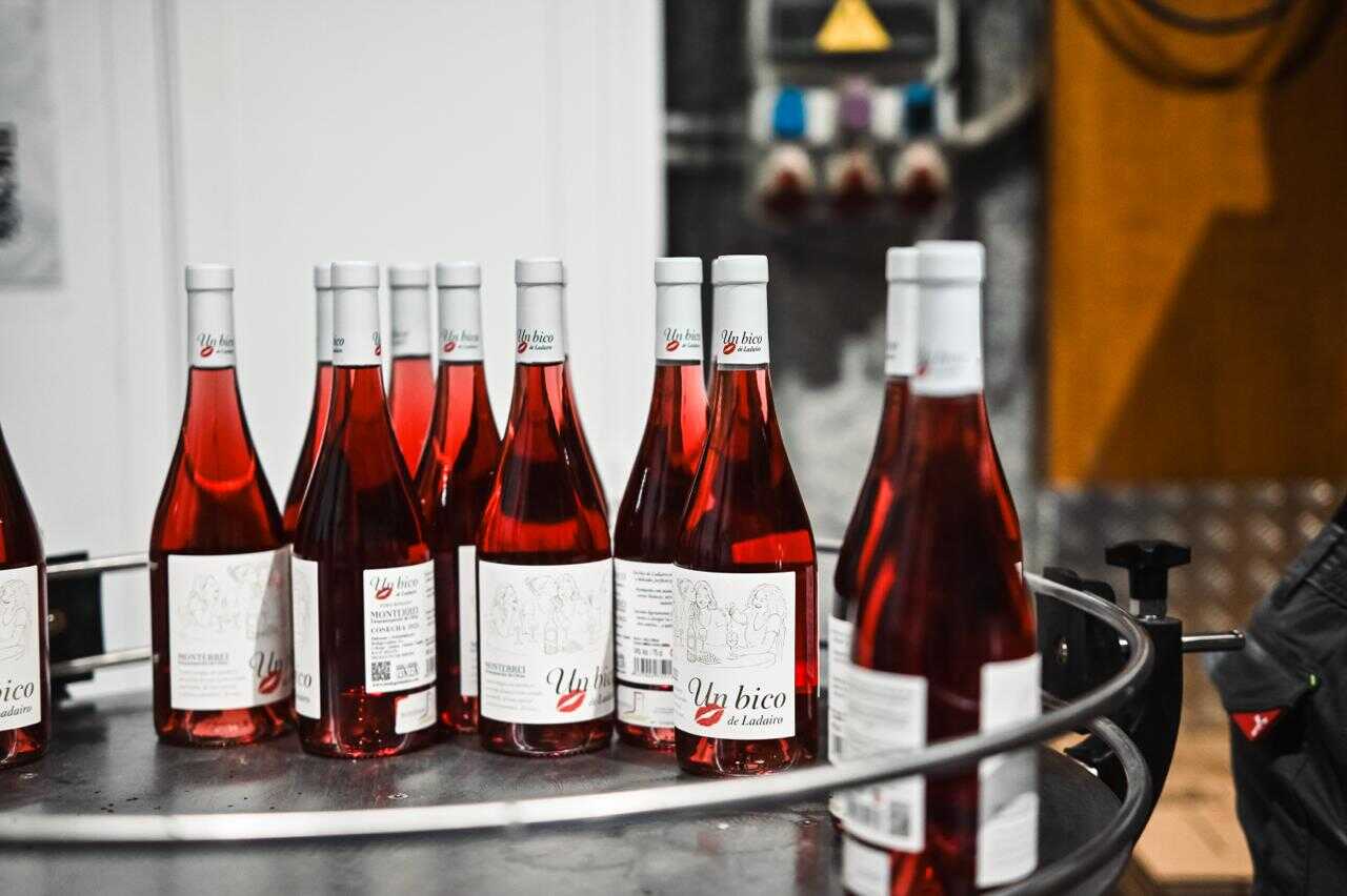 Ladairo prevé embotellar 4.000 unidades de su rosado este año. | FOTO: Noelia Caseiro.
