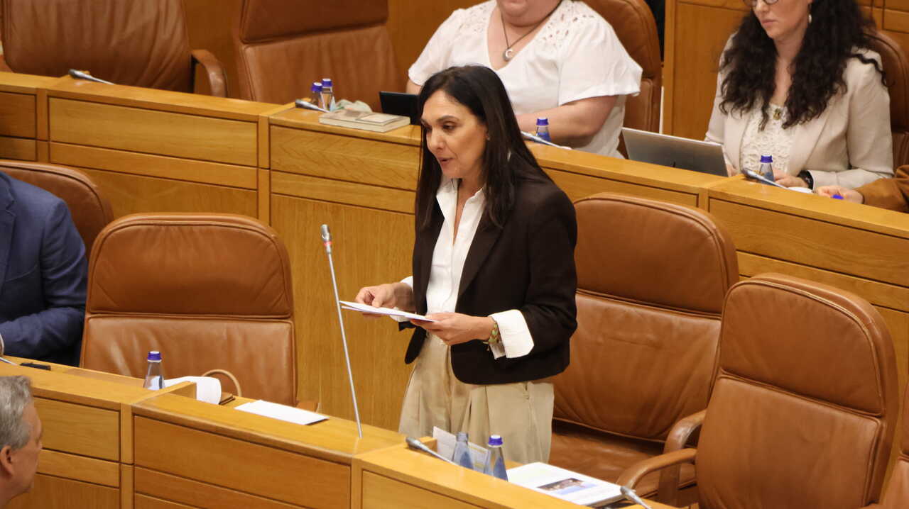 Carmen Rodríguez Dacosta, interpelando ao titular da Consellería de Sanidade, no pleno do Parlamento.