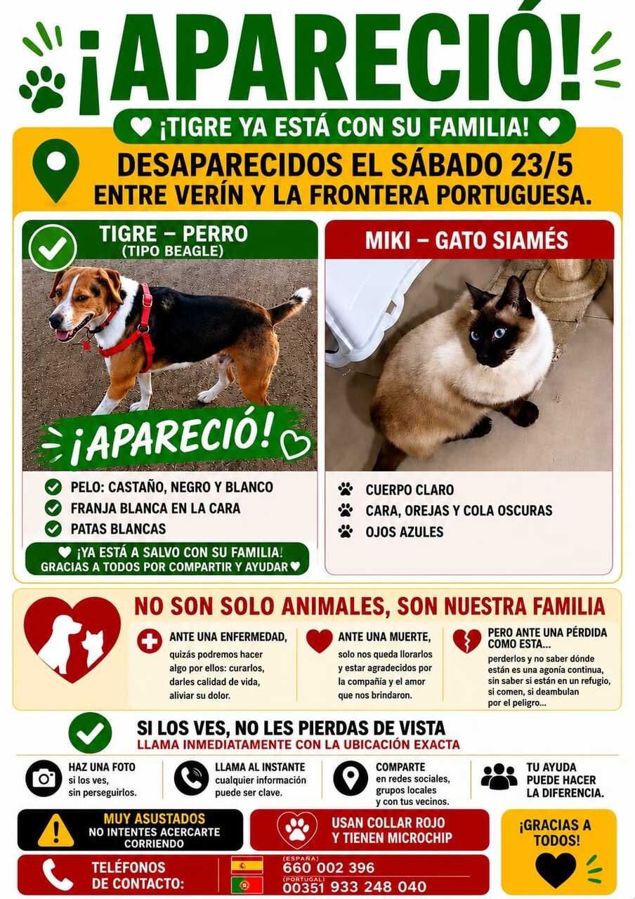 En el cartel, el gato Miki, todavía desaparecido.